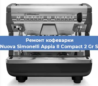 Чистка кофемашины Nuova Simonelli Appia II Compact 2 Gr S от накипи в Волгограде